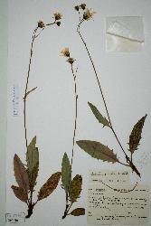 © Landcare Research 2012 
